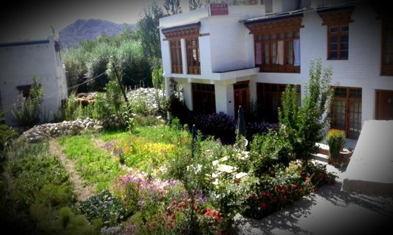 Jimmy'S Homestay Leh Esterno foto