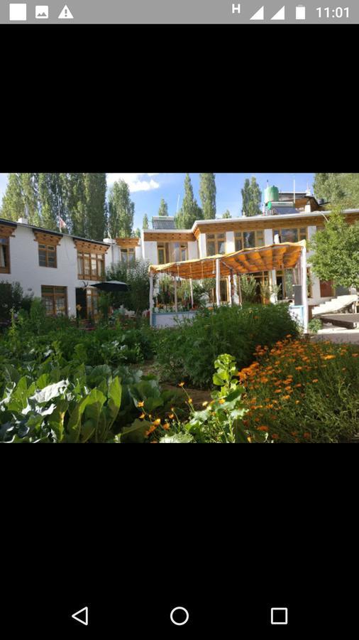Jimmy'S Homestay Leh Esterno foto